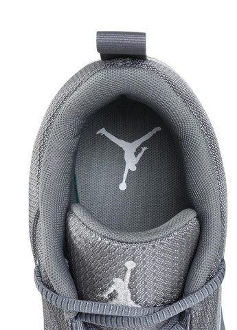Сірі Осінні кросівки fq8298-002 Jordan Max Aura 6