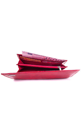 Женский кожаный кошелек 19х9,5х2,7 см Canpellini (252133043)