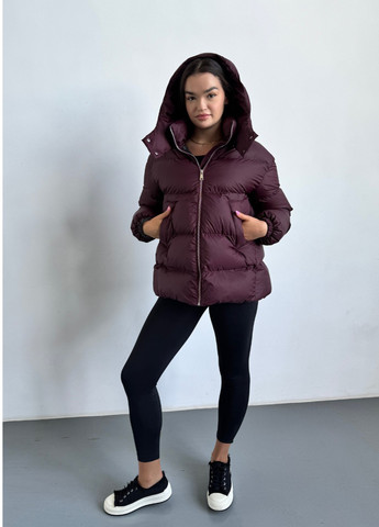Бордовий зимній Пуховик Eva Classic