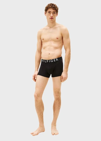 Трусы (3 шт.) Tommy Hilfiger (347581756)