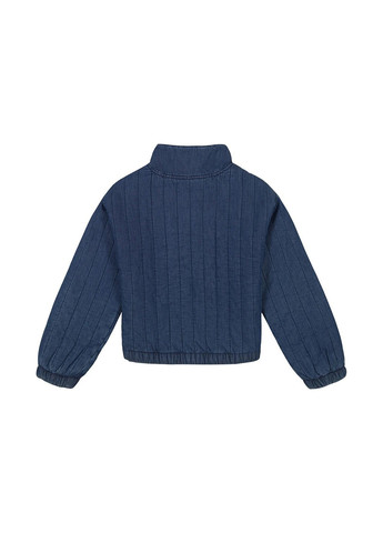 Синяя демисезонная куртка Calvin Klein