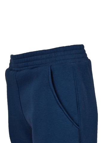 Синие спортивные зимние зауженные брюки Garnamama