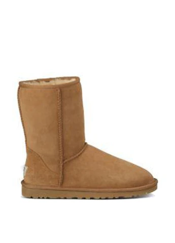 Угги UGG (17402128)