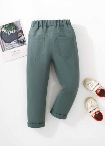 Бирюзовые кэжуал демисезонные брюки зауженные SHEIN