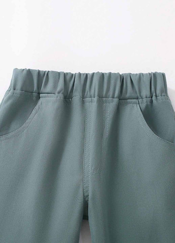 Бирюзовые кэжуал демисезонные брюки зауженные SHEIN