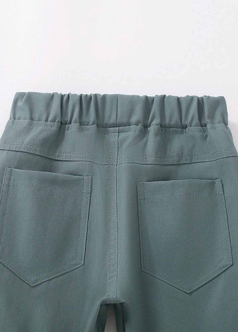 Бирюзовые кэжуал демисезонные брюки зауженные SHEIN