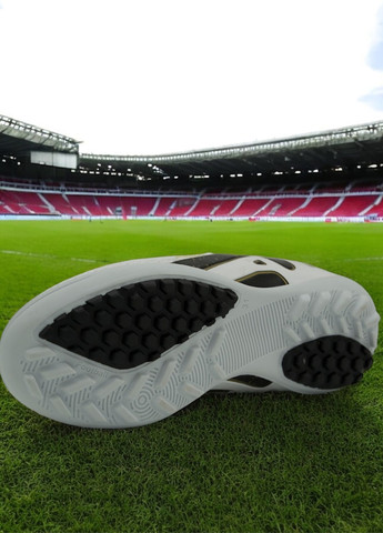 Сороконіжки Walked (334003647)