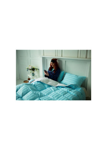 Одеяло MirSon пуховое Valentino 034 зима 200х220 см (2200000003737) No Brand (254012582)