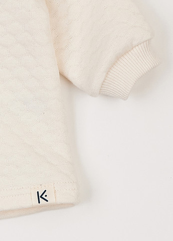 Спортивный костюм (кофта, брюки) KRAKO (303366776)