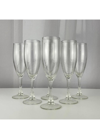 Набор бокалов для шампанского Flute 4073/А 180 мл 6 шт Champ (253626028)