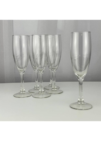 Набор бокалов для шампанского Flute 4073/А 180 мл 6 шт Champ (253626028)