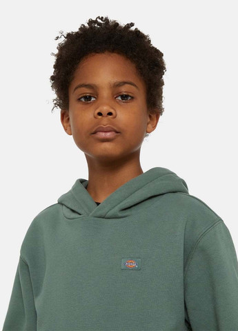 Худі Dickies (365686771)