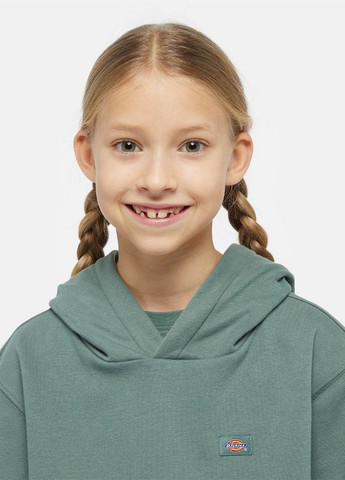 Худі Dickies (365686771)