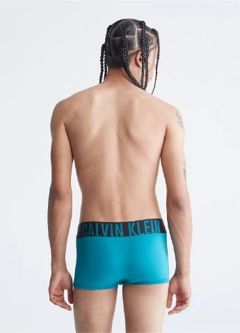 Труси (3 шт.) Calvin Klein (257286584)