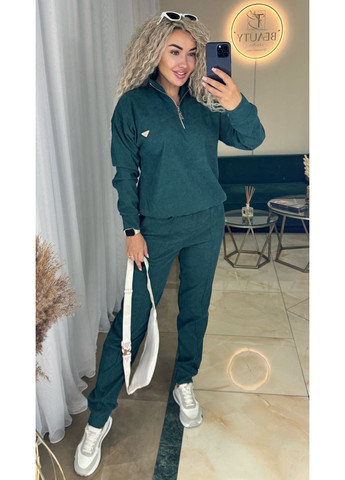 Костюм (толстовка, штани) No Brand (356735067)