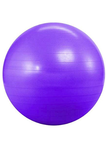 Мяч для фитнеса 75 см фиолетовый (фитбол, гимнастический мяч для беременных) EF75V EasyFit (243205458)