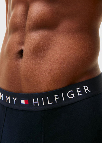 Труси (3 шт.) Tommy Hilfiger (344461786)