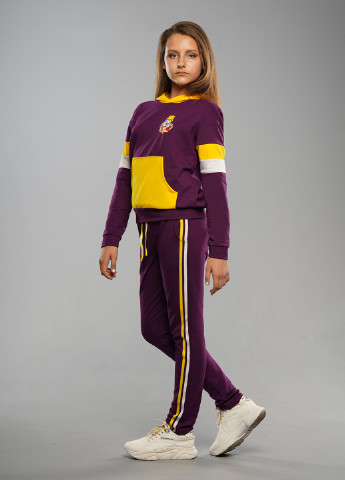 Фіолетовий демісезонний спортивний костюм з малюнком Sinthia (192445494)
