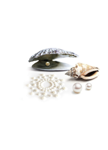 Пэстис из кристаллов - Mimi Pearl, украшение на грудь Bijoux Indiscrets (255247606)