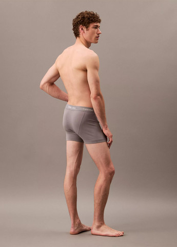 Трусы (5 шт.) Calvin Klein (315522910)