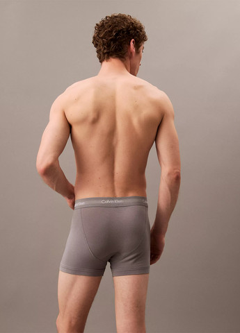 Трусы (5 шт.) Calvin Klein (315522910)