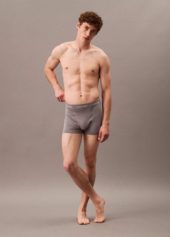 Трусы (5 шт.) Calvin Klein (315522910)