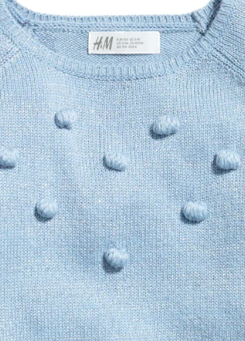 Блакитний демісезонний джемпер джемпер H&M
