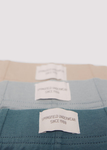 Трусы (3 шт.) Springfield (353304841)