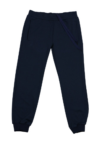 Темно-синие спортивные демисезонные брюки со средней талией DaNa-kids