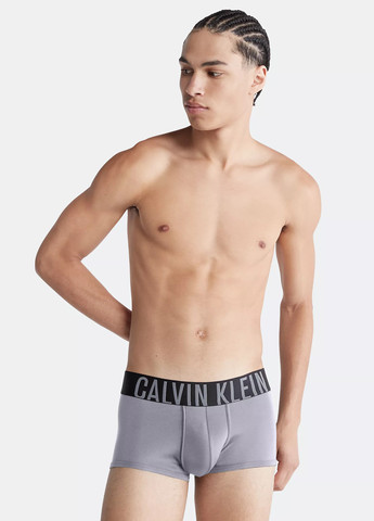 Трусы (3 шт.) Calvin Klein (291014862)