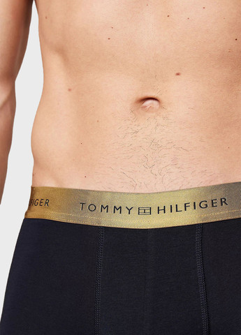 Труси (5 шт.) Tommy Hilfiger (315033678)