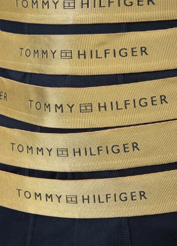 Труси (5 шт.) Tommy Hilfiger (315033678)
