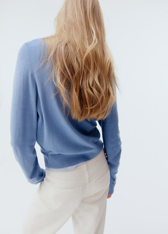 Голубой демисезонный джемпер джемпер H&M