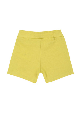 Шорти Chicco (304303390)