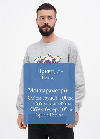 Серый свитшот Gildan рисунок без декора (305788371)