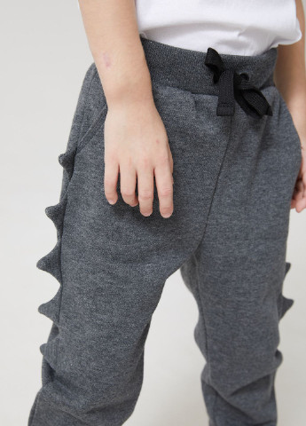 Темно-серые кэжуал демисезонные брюки джоггеры SELA