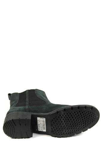 Жіночі черевики Clarks (254863409)