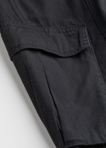 Штани H&M (331176203)