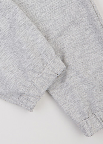 Костюм (толстовка, штани) Flamingo (359368628)