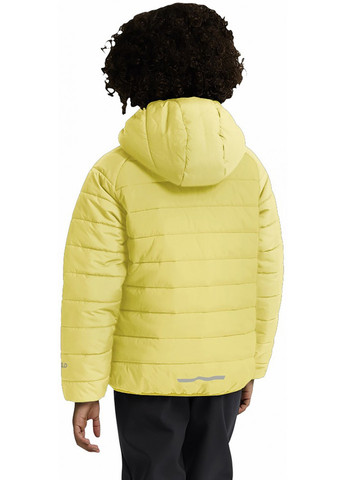 Желтая демисезонная куртка Jack Wolfskin A65455_M0064