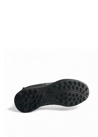 Сороконіжки Caroc (369282897)