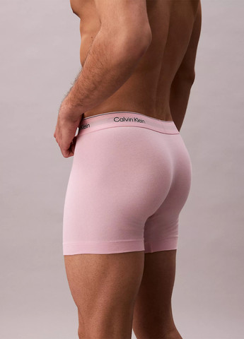 Труси (5 шт.) Calvin Klein (368668152)