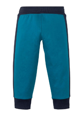 Синие спортивные демисезонные брюки Lupilu