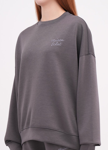 Графітовий світшот EQUILIBRI однотонний вишивка (355383155)