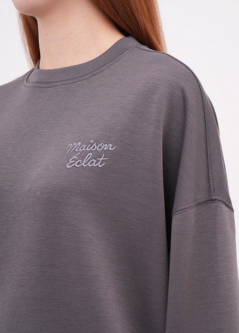 Графітовий світшот EQUILIBRI однотонний вишивка (355383155)