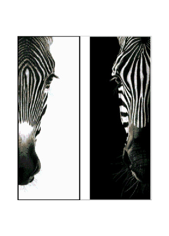 Набор для вышивания бисером Диптих зебры 46х57 см Александра Токарева (188848045)