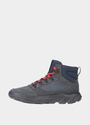 Черевики Ecco (365697163)