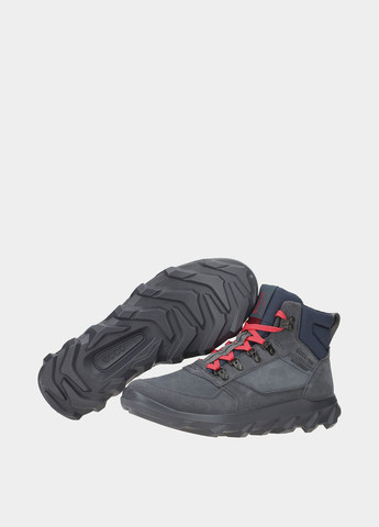 Черевики Ecco (365697163)