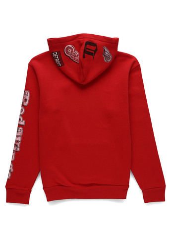 Худі Hollister (332806147)