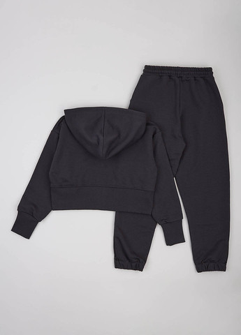 Костюм (толстовка, штани) Фламинго (307929959)